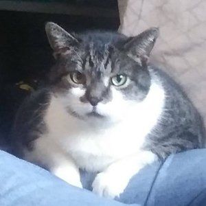 Meet your Posher, Lilly